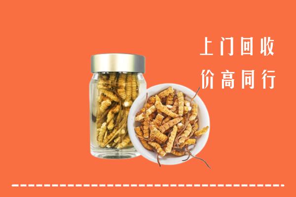 德州高价回收冬虫夏草